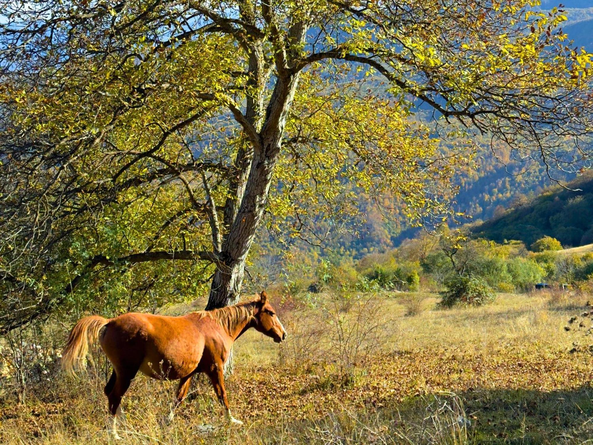 Kanach Tun Boutique Hotel Yenokavan Dış mekan fotoğraf